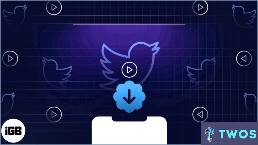 ¿Cómo descargar vídeos de Twitter en Iphone?