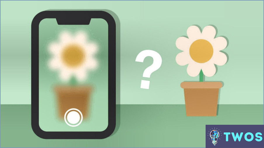 ¿Cómo Desenfocar Fotos En Iphone?
