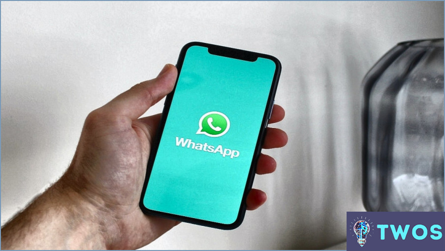 Cómo publicar un vídeo en el estado de Whatsapp?