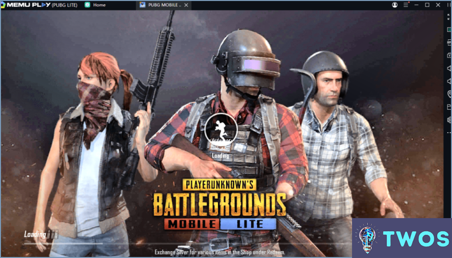 Cómo puedo eliminar permanentemente mi cuenta de PUBG Mobile Lite?