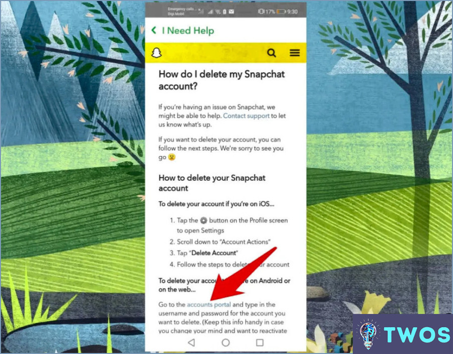 ¿Puedo eliminar mi cuenta de Snapchat?