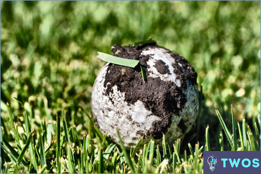 Cómo limpiar las pelotas de golf en casa?