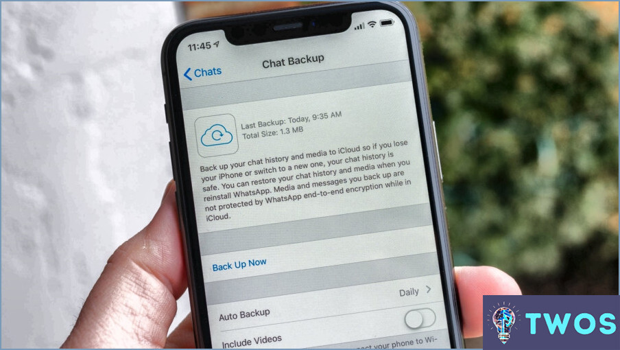 Cómo descargar la copia de seguridad de Whatsapp desde Icloud?