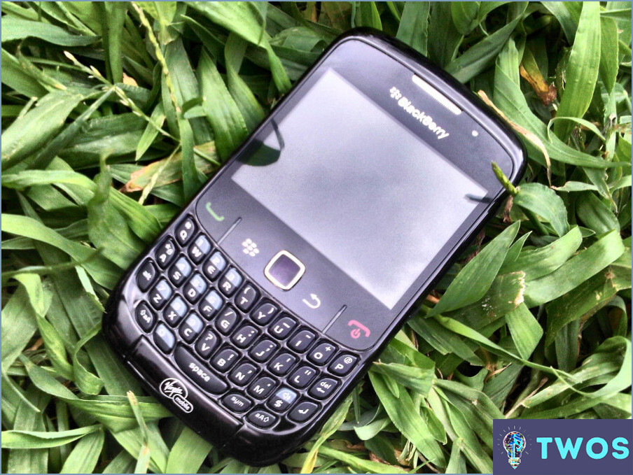 Cómo descargar Whatsapp en Blackberry Curve?