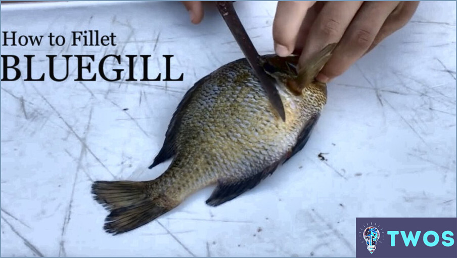 ¿Cómo limpiar un Bluegill?