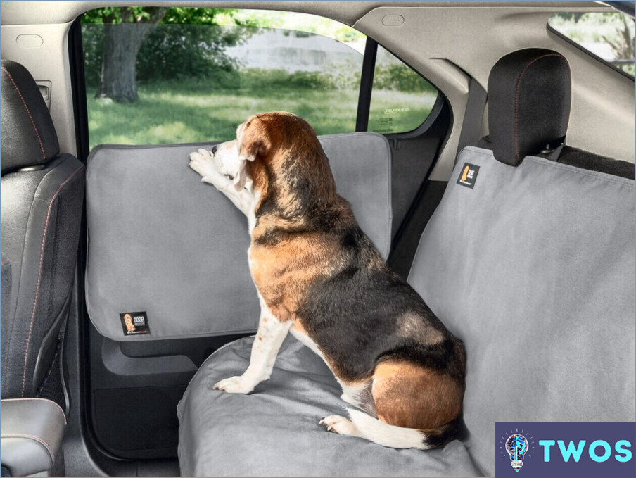 Cómo proteger la puerta del coche de arañazos de perro?