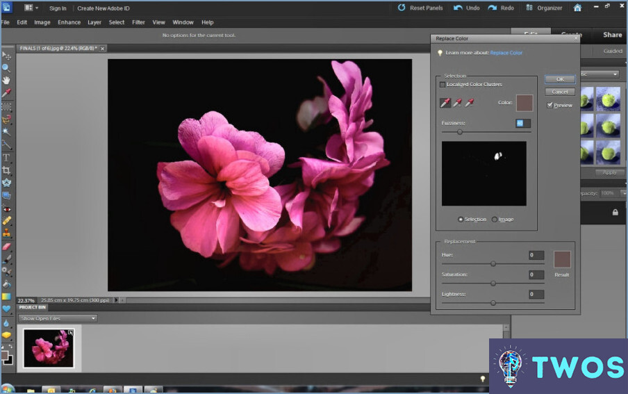 Cómo puedo cambiar el fondo en Photoshop Elements 2018?