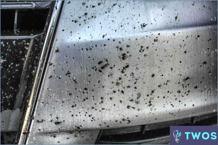 ¿Cómo quitar insectos del coche con hojas de secadora?