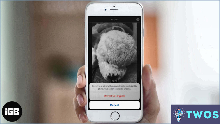 Cómo revertir una imagen en Iphone?