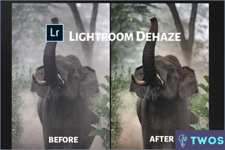 Cómo se hace el Dehaze en Lightroom 5?