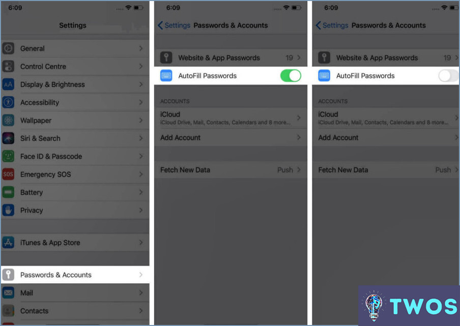 Cómo ver las contraseñas de correo electrónico en iPhones?