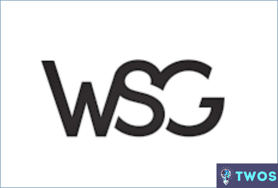 ¿Qué significa WSG en el argot de los mensajes de texto?