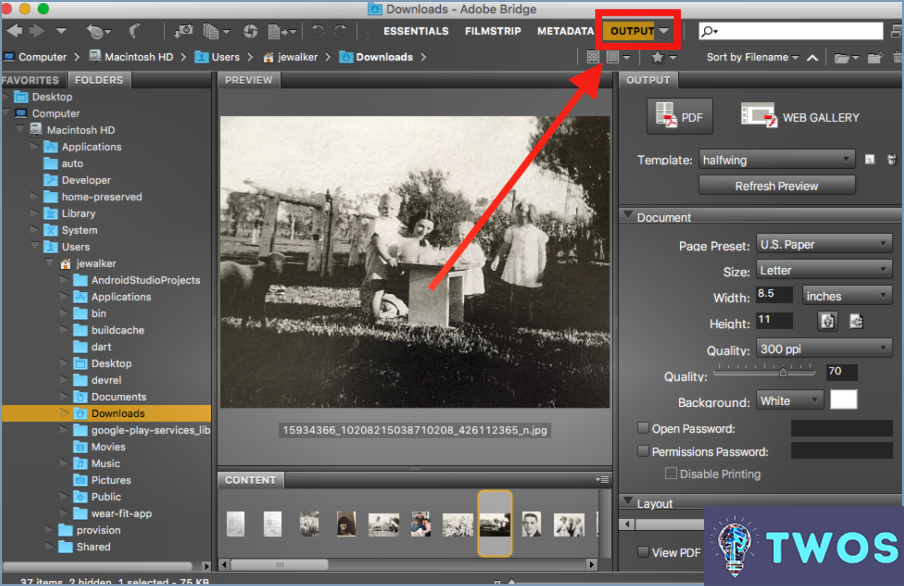 ¿Se pueden combinar pdfs en Photoshop?