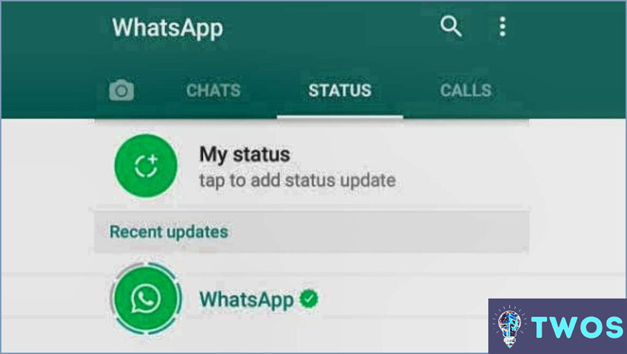 Cómo Guardar El Estado De Whatsapp Sin Aplicación ️ Twoses 【 2024 3205