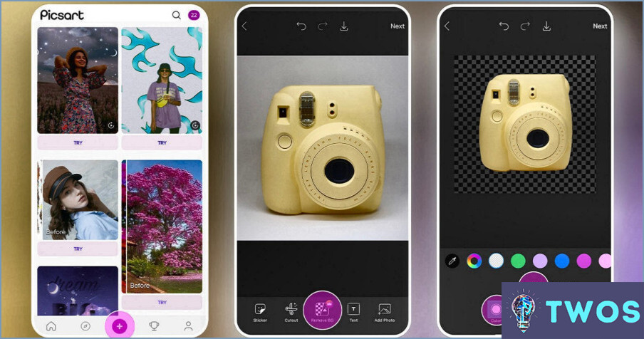 ¿Cómo puedo deshacerme de PicsArt gold?