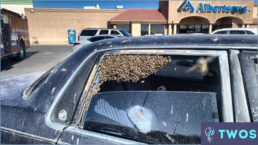 ¿Cómo sacar una abeja de su coche?