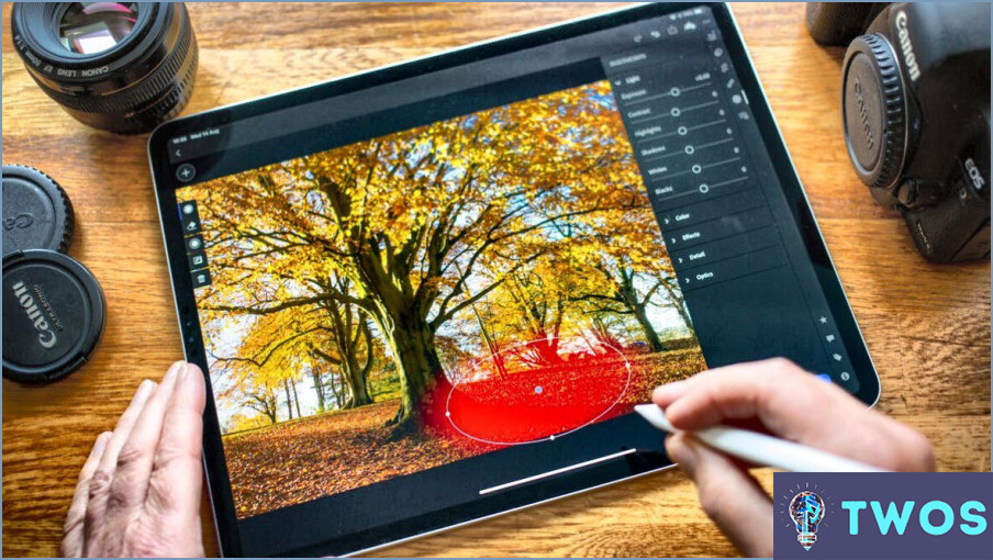 ¿Cuál es la mejor aplicación de Photoshop para Ipad Pro?