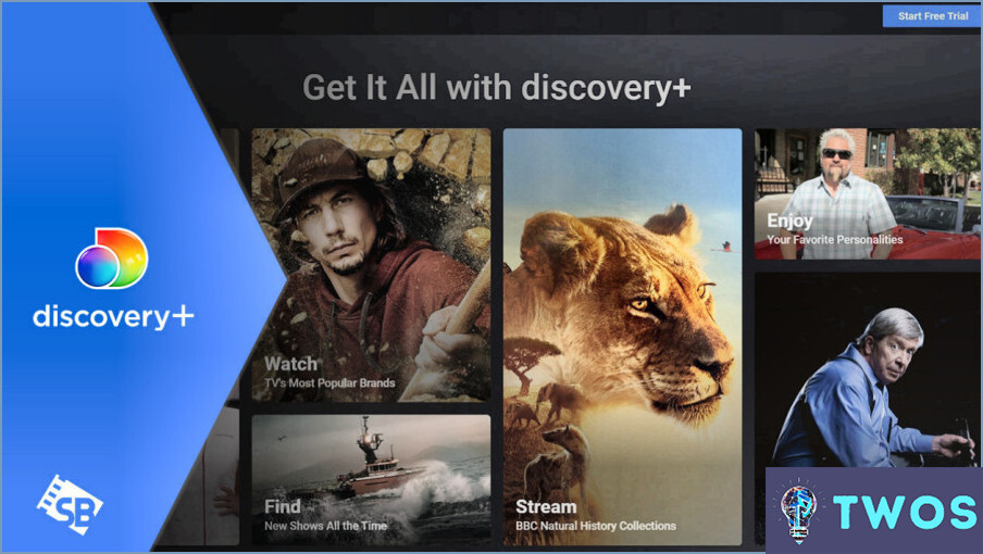 Cuándo estará disponible Discovery Plus en Ps4?