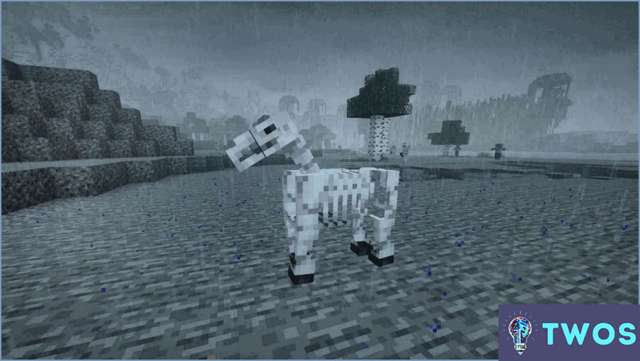 Cómo Conseguir Un Caballo Esqueleto En Minecraft Ps4 ️ Twoses 【 2024