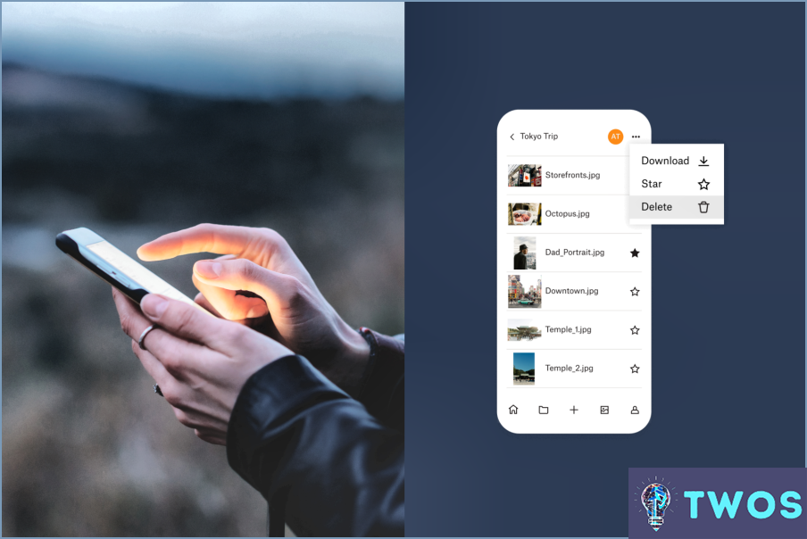 Cómo puedo eliminar una imagen de mi Dropbox?