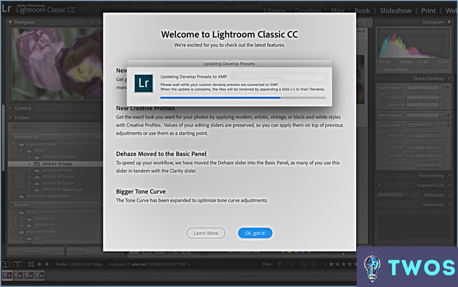 ¿Cómo puedo forzar la salida de Lightroom?