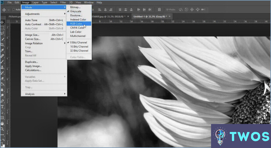 ¿Cómo puedo hacer una imagen de 24 bits en Photoshop?