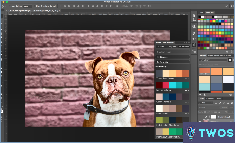 ¿Cómo puedo ver las muestras de color en Photoshop?