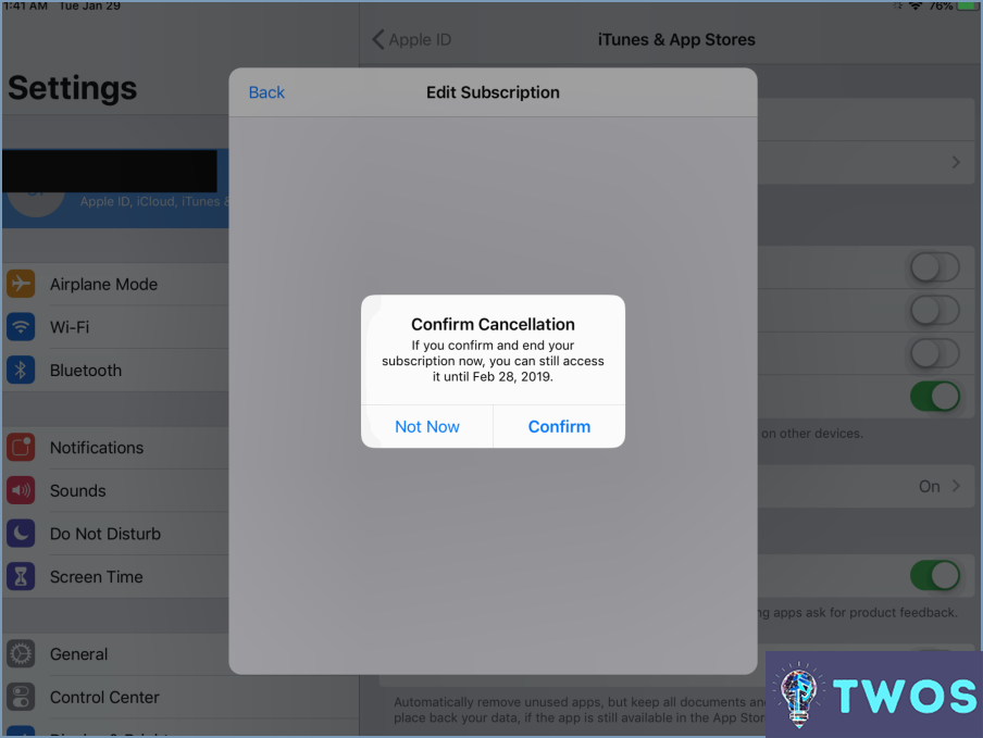 ¿Cómo se gestionan las suscripciones en el iPad?