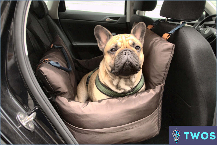 ¿Cómo utilizar el arnés del coche Bulldog francés en el coche?