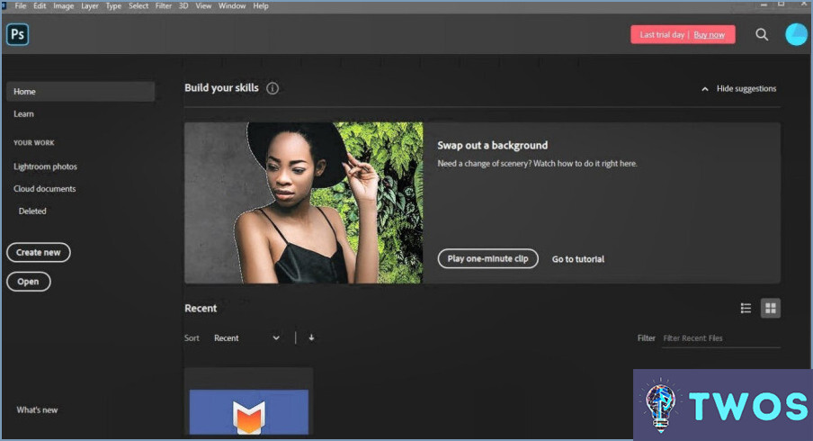 ¿Es gratuito Lightroom Online?