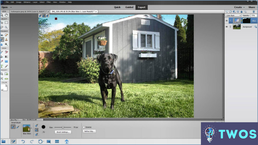 ¿Existen preajustes para Photoshop Elements?