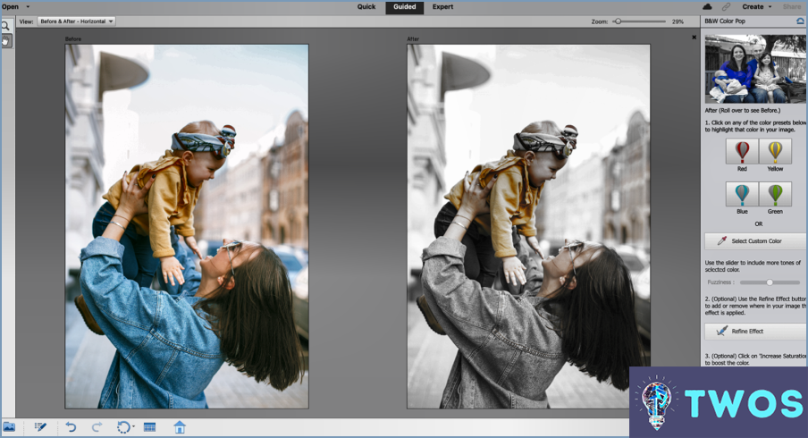 ¿Puedo utilizar ajustes preestablecidos en Photoshop Elements?