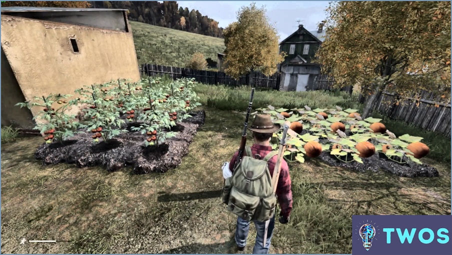 ¿Cómo comer en Dayz Xbox?