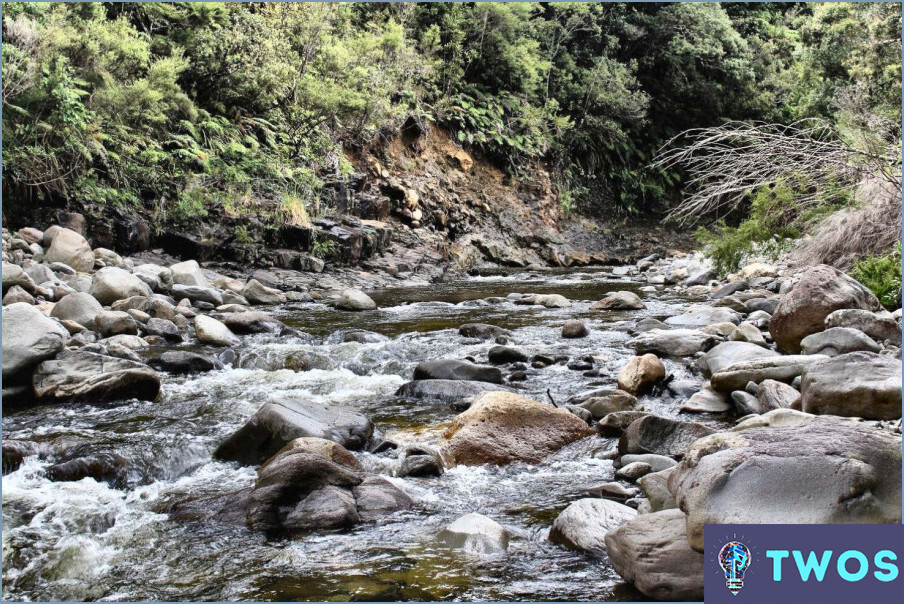 ¿Cómo conseguir agua limpia en el bosque?