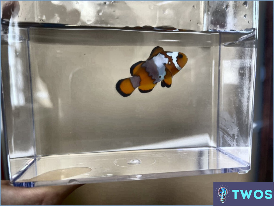 ¿Cómo eliminar Clownfish?