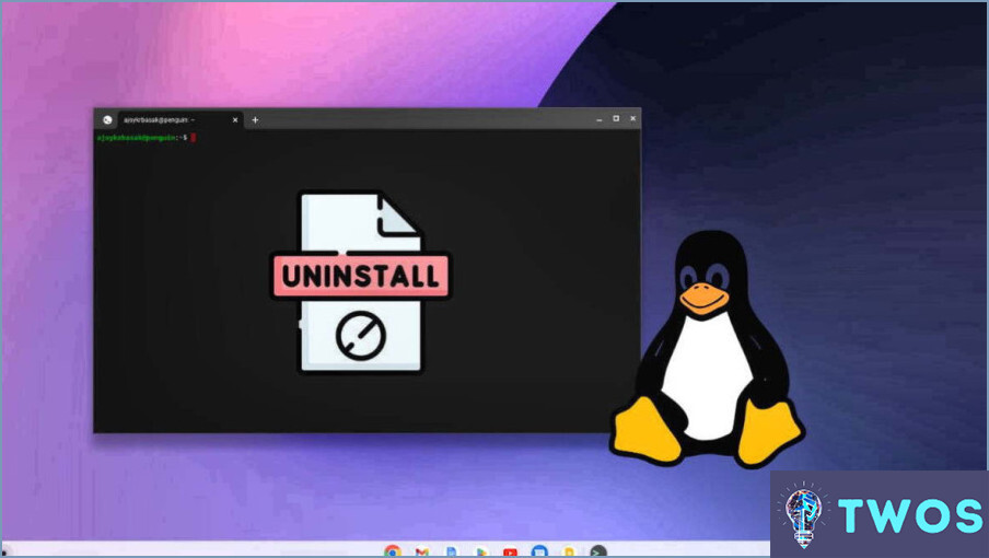 Cómo eliminar Linux en Chromebook?