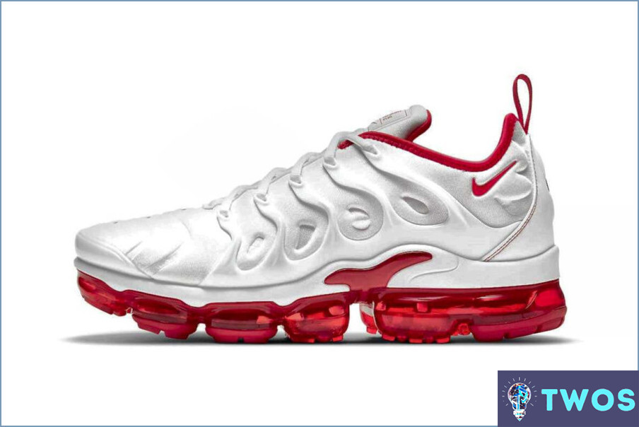 ¿Cómo limpiar Vapormax Plus?