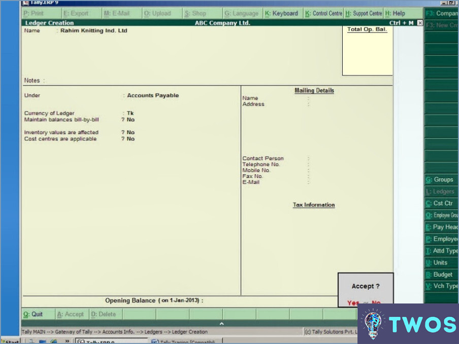 Cuáles son los tipos de libro mayor que se pueden hacer en Tally ERP 9?