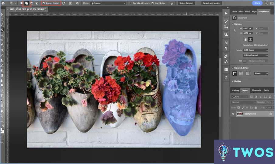 Cómo lasso múltiples objetos en Photoshop?