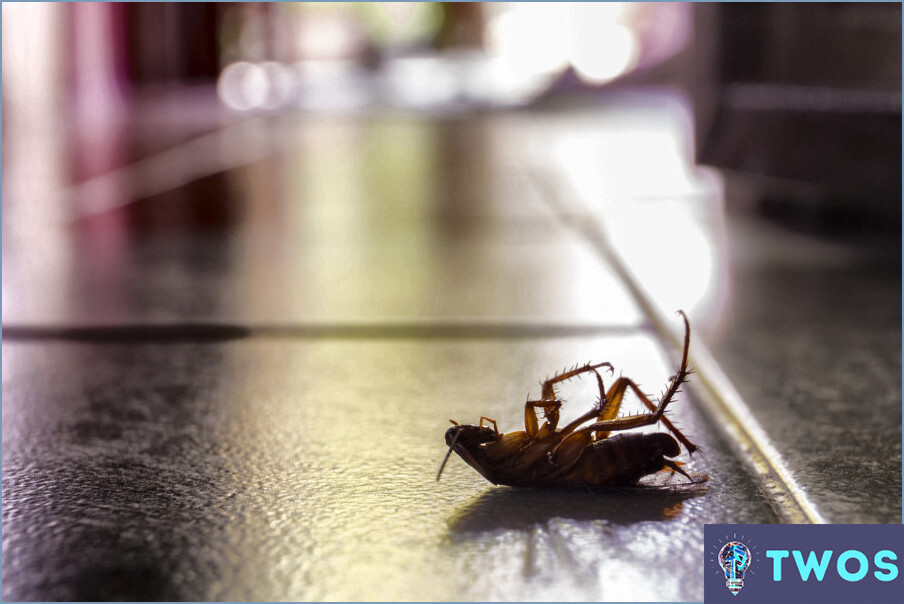 Cómo limpiar un refrigerador infestado de insectos?