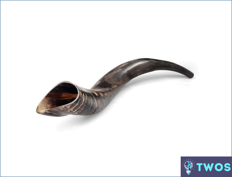 ¿Cómo limpiar un shofar?