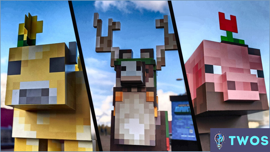 ¿Está Minecraft Tierra fuera?