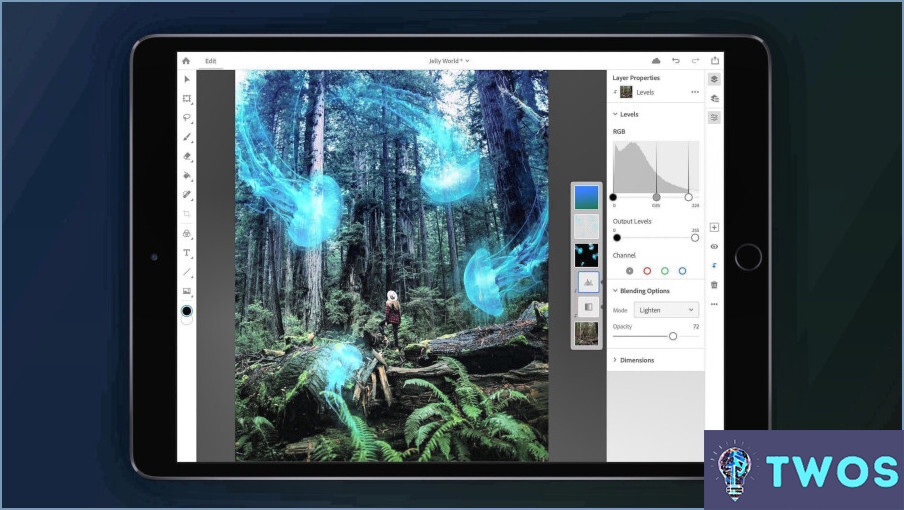 ¿Necesitas Ipad Pro Para Photoshop?