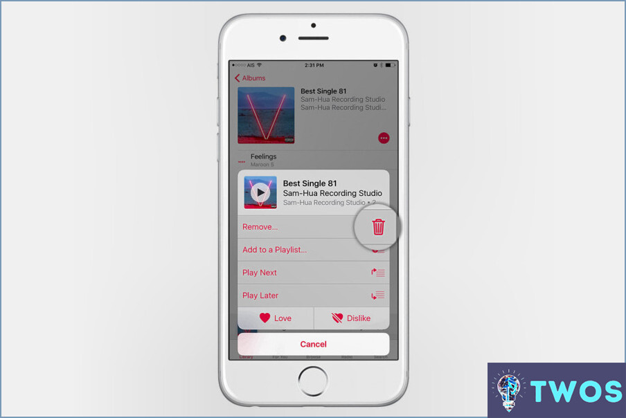 ¿Cómo Borrar Música Del Iphone Desde Itunes?